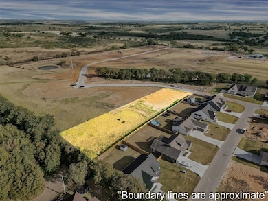 2202 Rattler Way, Tolar, TX 76476 - photo 6