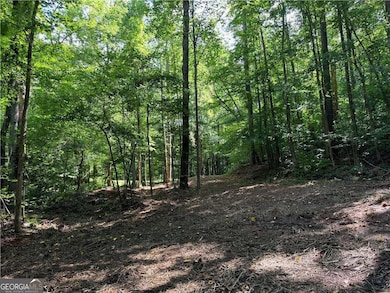 8143 E Cherokee Dr, Canton, GA 30115 - photo 6