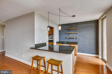 Mica Condominiums unit 1107, Silver Spring, MD 20910 - photo 6