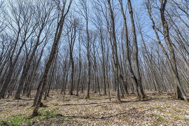 L11-13+ Red Fox Rd, Presque Isle, WI 54557 - photo 6