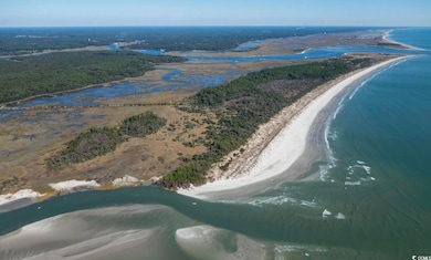 0 Jacks Circle Rd, North Myrtle Beach, SC 29582 - photo 6