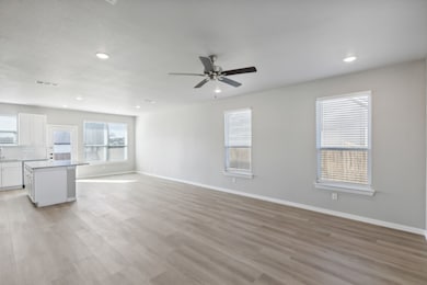 825 Feather Edge Dr, Springtown, TX 76082 - photo 3