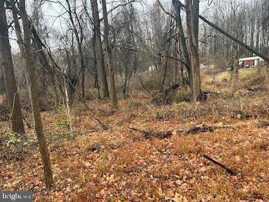 1 Mindy Trail, Carroll Valley, PA 17320 - photo 4