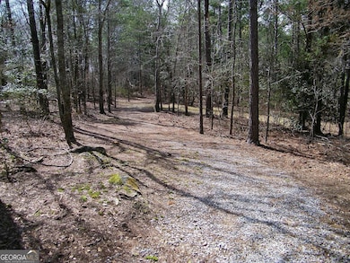 LOT 5 Blackberry Bend, Elberton, GA 30635 - photo 3