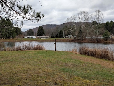 View from across the Pond