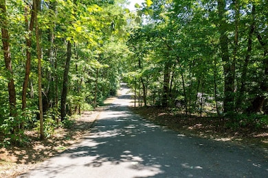 Lot 6 Hidden Forest Ln, Hayesville, NC 28904 - photo 4