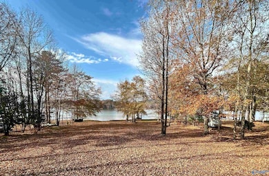 3445 County Road 104, Cedar Bluff, AL 35959 - photo 4