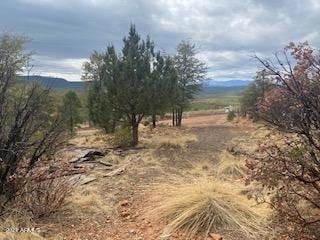 Lot 16 Hoot Owl Trail unit 16, Payson, AZ 85541 - photo 6