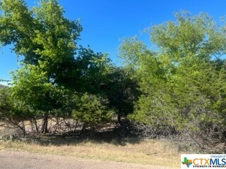 15962 Salado Dr, Temple, TX 76502 - photo 2