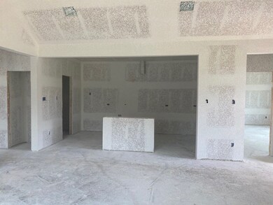Lovely kitchen - still under construction!