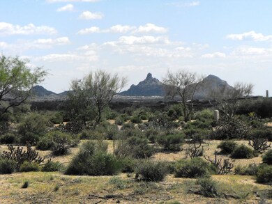 Lot 339 Pic 1