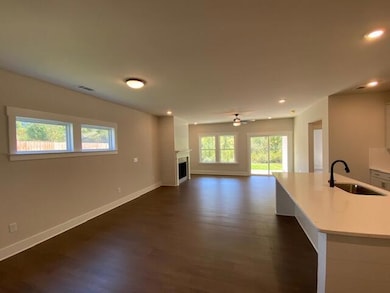 7538 Snow Cone Way, Ooltewah, TN 37363 - photo 7