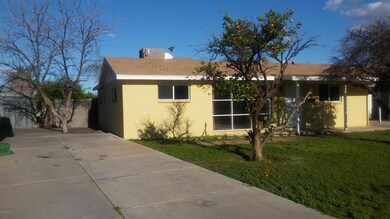 Front View / Pecan Tree