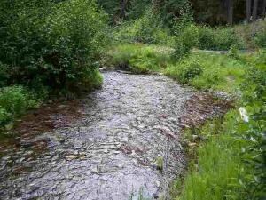Lambert Creek early spring time