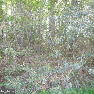 0 Brickhouse unit 1000050219, King George, VA 22485 - photo 5