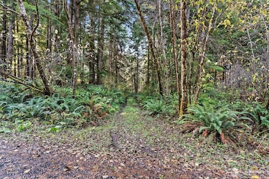 0 Lot 35 Bay Ln, South Bend, WA 98596 - photo 5