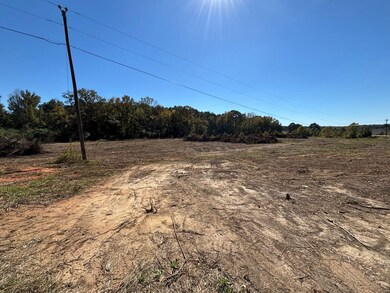 0 Country Ln, Philadelphia, MS 39350 - photo 5