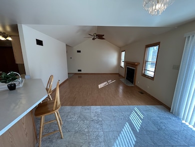 unlisted-address, Steger, IL 60475 - photo 3