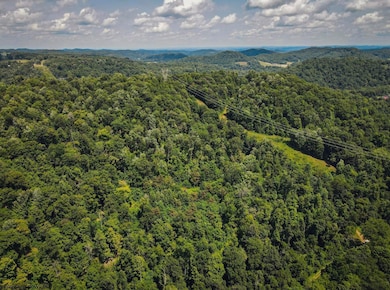 TBD Long Run Rd, Belington, WV 26591 - photo 3