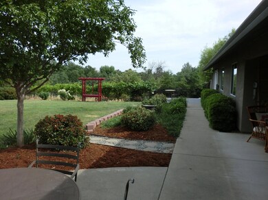 kinene backyard 2