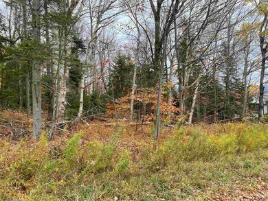 419 Shincracker unit 419 & 420, Wilmington, VT 05363 - photo 6