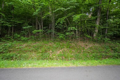 0 White Oak Rd unit 127470, Stewart, TN 37175 - photo 6