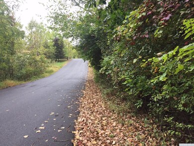 68 - C Randy Rd, Sleepy Hollow Lake, NY 12015 - photo 6