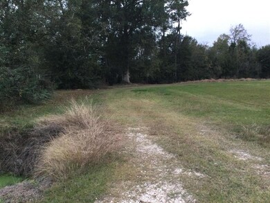 0 Trina Ln, Sulphur, LA 70663 - photo 4