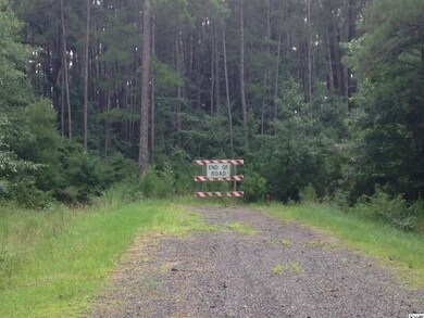 Lot 10 Pampass Ln unit Pampass Lane, Conway, SC 29527 - photo 5