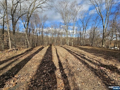 34 Starlight Dr, Morristown, NJ 07960 - photo 5