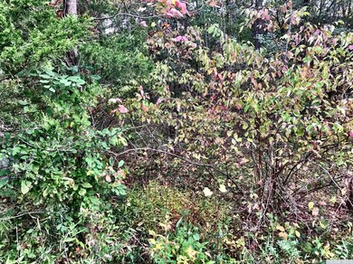 58 Debbie Dr, Athens, NY 12015 - photo 5