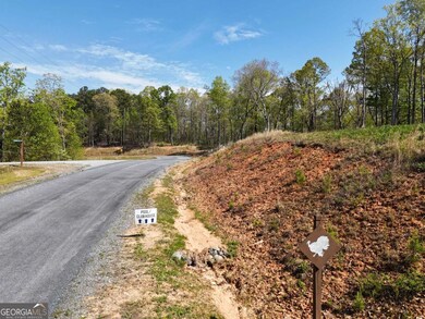 LT 20 Blalock Mountain Rd, Ellijay, GA 30175 - photo 4