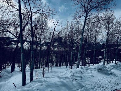 View of snowy yard