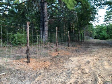 TBD Cr 233, Arp, TX 75750 - photo 4