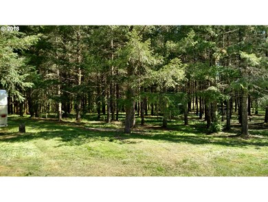 26885 SW Smithville Rd, Sheridan, OR 97378 - photo 4