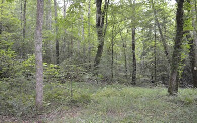 Lot 3 Maple Rest Ln, Ellijay, GA 30540 - photo 7