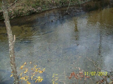 52 Osage, Baldwin, MI 49304 - photo 4