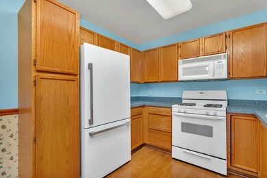 21230 W Walnut Dr unit A, Plainfield, IL 60544 - photo 3