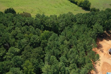 390 Jamestown Way, Anniston, AL 36207 - photo 7