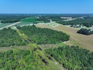 TBD Alamac Rd, Lumberton, NC 28358 - photo 4