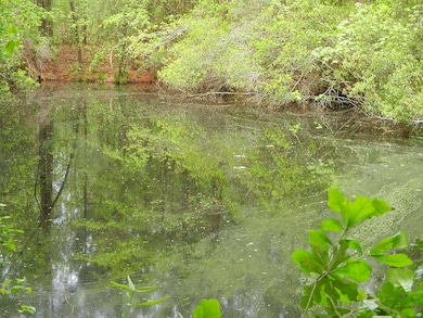 00 Lewis Rd, Dunn, NC 27597 - photo 4