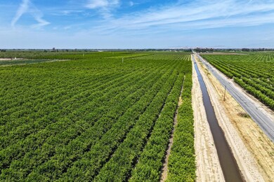 0 Road 176 unit 231620, Exeter, CA 93221 - photo 3