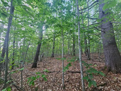 708 Webbs Mills Rd, Raymond, ME 04071 - photo 4