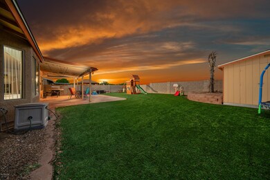 03 Backyard 1
