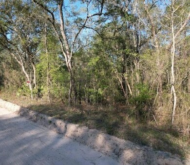 0 00 unit MFRS5133498, Jasper, FL 32052 - photo 2
