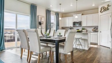 798 N Clubview St, Watkins, CO 80137 - photo 7