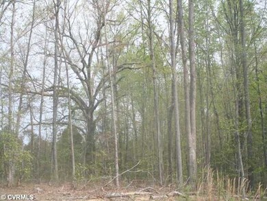 Land - This property is comprised of beautiful mat