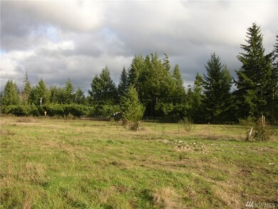 14905 Lawrence Lake Rd SE, Yelm, WA 98597 - photo 3