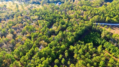 525 Bill Hales Rd, Willis, TX 77378 - photo 7