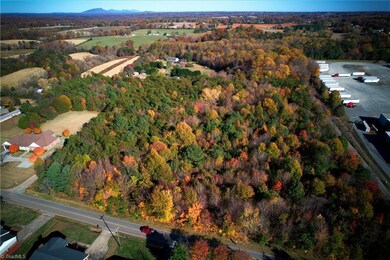 124 River Rd, Boonville, NC 27011 - photo 4